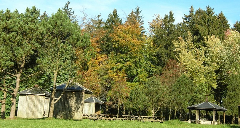 Expérience coup de coeur : la Forêt Domaniale du Grand Bois - Parcours sensoriel Bechefa 